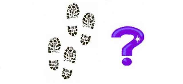 2026 New Year Walkabout & Fun Quiz